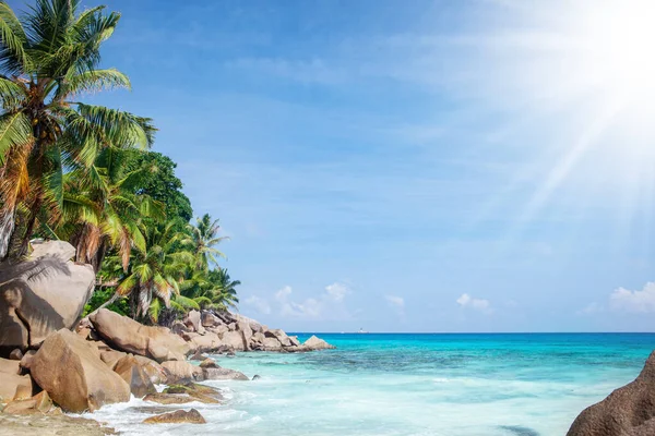 Tropikalna Plaża Palmami Turkusowym Morzem — Zdjęcie stockowe