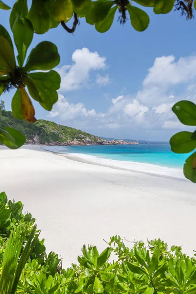 Spiaggia Tropicale Con Palme Mare Turchese — Foto Stock