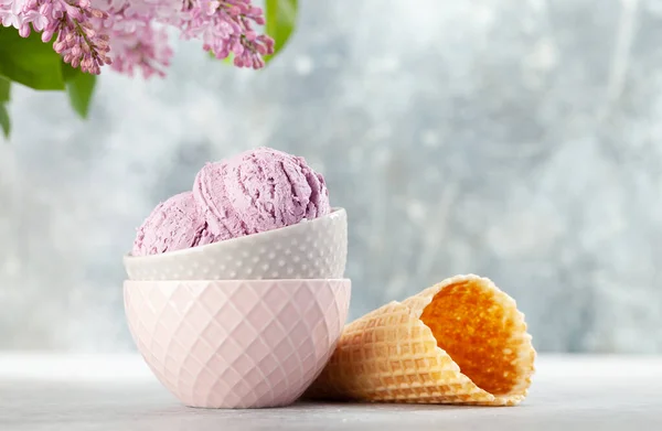 Meyveli Dondurma Waffle Külahı Leylak Çiçekleri — Stok fotoğraf