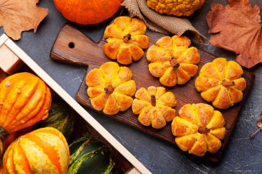Ev yapımı balkabağı kek ve çeşitli balkabakları gibi görünür. Üst görünüm düzlüğü