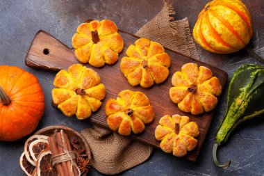 Ev yapımı balkabağı kek ve çeşitli balkabakları gibi görünür. Üst görünüm düzlüğü