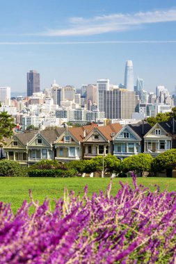 Boyalı Bayanlar ve San Francisco şehir merkezi, Kaliforniya, ABD