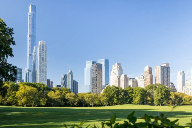 Manhattan gökdelenleri ve Central Park çayırları