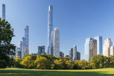 Manhattan gökdelenleri ve Central Park çayırları