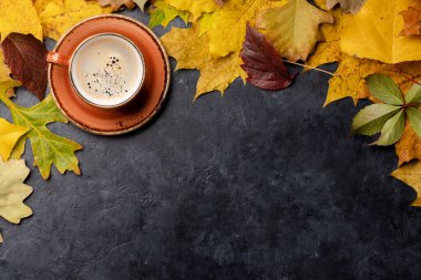 Kahve fincanı ve sonbahar yaprakları. Kopyalama alanı olan düz