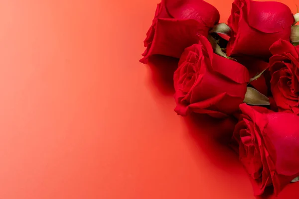День Святого Валентина Вітальна Листівка Трояндовими Квітами Плоский Простір Вашого — стокове фото