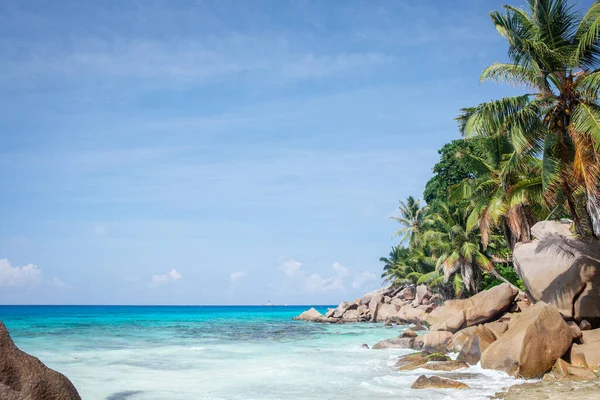 Tropikalna Plaża Palmami Turkusowym Morzem — Zdjęcie stockowe