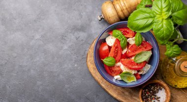 Olgun domatesli Caprese salatası, mozzarella peyniri ve bahçe fesleğeni. Kopyalama alanı olan düz