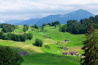 Kırsal alan panoramik manzara, yeşil alp çayırları ve İsviçre 'deki Alpler dağları