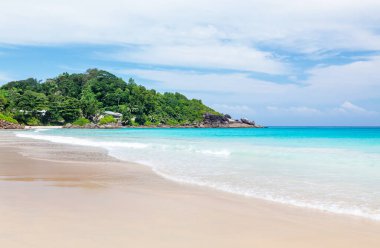 Palmiye ağaçları ve turkuaz deniz ile tropikal plaj