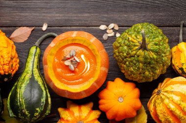 Balkabağı kremalı çorba ve çeşitli renkli kabaklar ve balkabakları. Sonbahar sebze hasadı. Üst görünüm düzlüğü