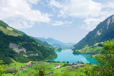 Gölün panoramik manzarası, kırsal alanlar, yeşil alp çayırları ve İsviçre 'deki Alp dağları.
