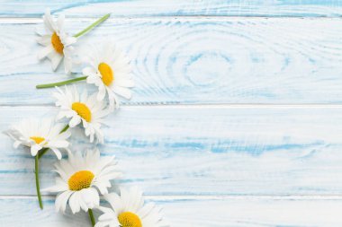 Ahşap arka planda papatya bahçesi çiçekleri. Üst görünüm düzlüğü kopyalama alanı ile yatıyordu