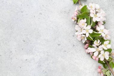 Elma çiçeği ağacı dalı taş masanın üzerinde. Üst görünüm düzlüğü, kopyalama alanı ile yatıyordu, bahar kartı için şablon