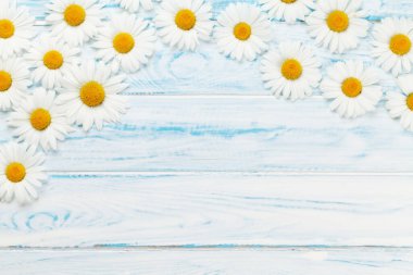 Ahşap arka planda papatya bahçesi çiçekleri. Üst görünüm düzlüğü kopyalama alanı ile yatıyordu