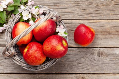 Olgun kırmızı elmalar ve elma çiçekleri sepette. Üst görünüm düzlüğü kopyalama alanı ile yatıyordu