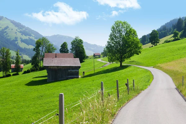 Route Campagne Dans Les Alpes Suisses Par Une Journée Été — Photo
