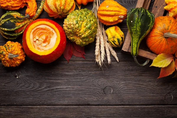Kürbiscremesuppe Und Verschiedene Bunte Kürbisse Und Kürbisse Gemüseernte Herbst Draufsicht — Stockfoto
