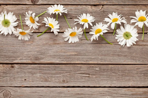 Chamomile Garden Flowers Wooden Background Top View Flat Lay Copy — Stock Photo, Image