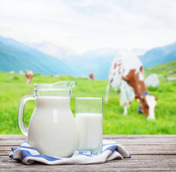 Mléko Džbánu Sklo Krávy Pastvinách Alpské Louce Pozadí — Stock fotografie