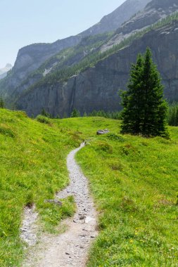 Yeşil alp çayırlarının ve İsviçre 'deki Alp dağlarının panoramik manzarası