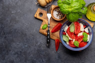 Olgun domatesli Caprese salatası, mozzarella peyniri ve bahçe fesleğeni. Kopyalama alanı olan düz