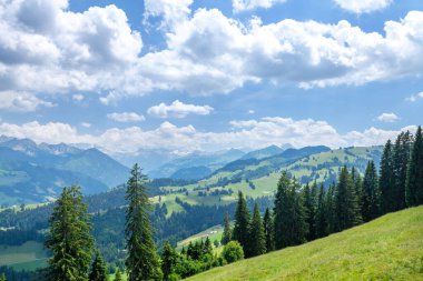 Kırsal alan panoramik manzara, yeşil alp çayırları ve İsviçre 'deki Alpler dağları