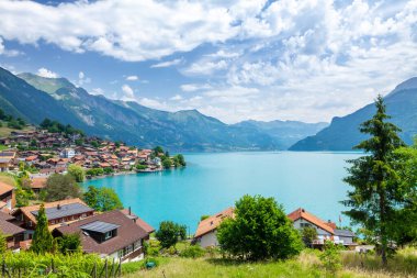 Gölün panoramik manzarası, kırsal alanlar, yeşil alp çayırları ve İsviçre 'deki Alp dağları.