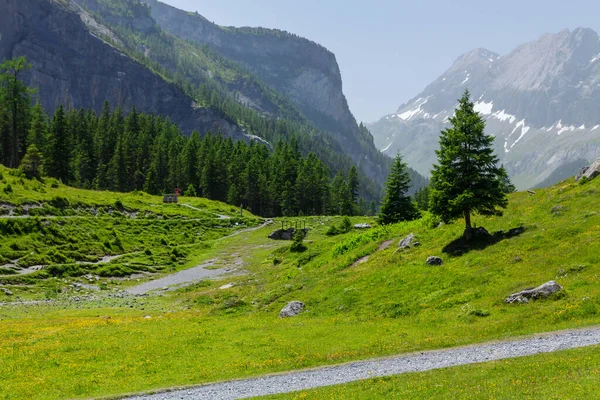 瑞士的绿色高山草甸和阿尔卑斯山全景 — 图库照片