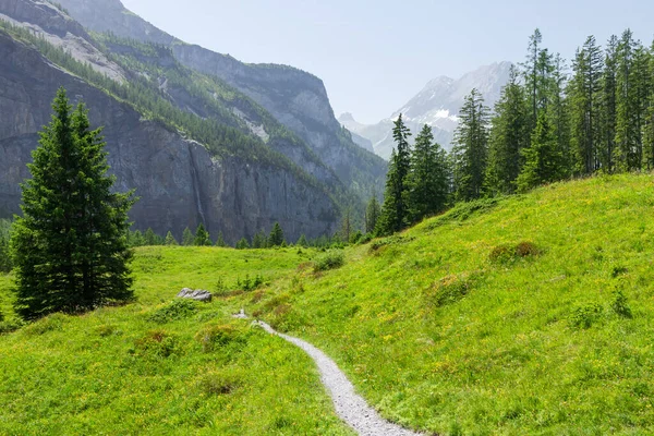 Панорамный Вид Зеленые Альпийские Луга Горы Альпы Швейцарии — стоковое фото
