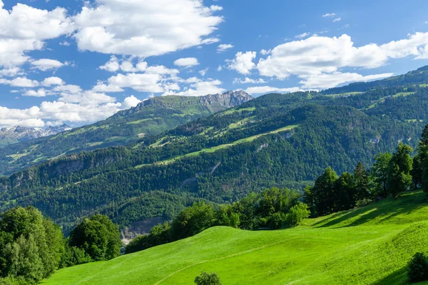 Vista Panorâmica Dos Prados Alpinos Verdes Das Montanhas Dos Alpes — Fotografia de Stock