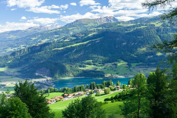 Вид Озеро Сельскую Местность Зеленые Луга Альпы Швейцарии — стоковое фото