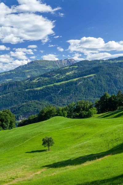 Paysage Alpin Suisse Prairies Verdoyantes Forêt — Photo