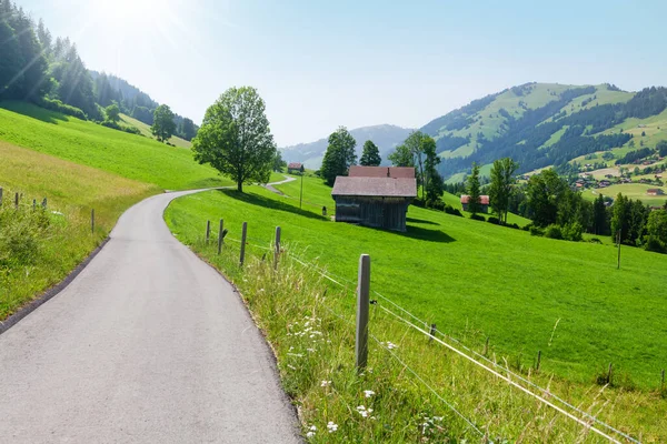 Estrada Rural Nos Alpes Suíços Dia Ensolarado Verão — Fotografia de Stock