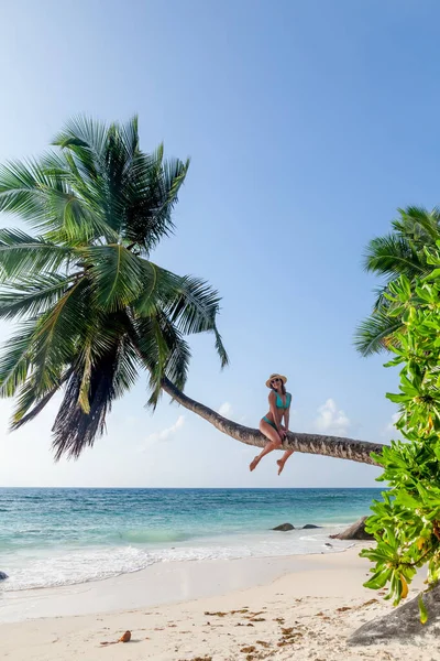Palm Beach Genç Bir Kız Yaz Tatili — Stok fotoğraf