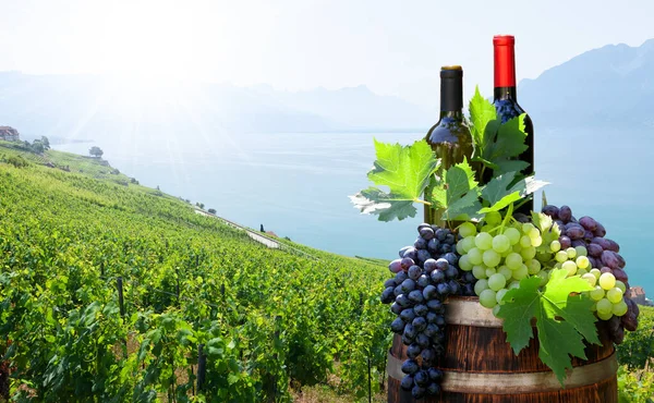 Red White Wine Bottles Grapes Wine Barrel Front Landscape Vineyard — Stock Photo, Image