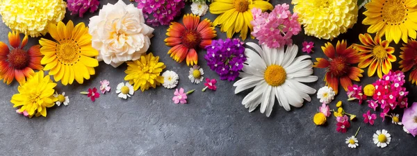 Kwiaty Ogrodowe Nad Kamiennym Tle Stołu Układy Płaskie — Zdjęcie stockowe