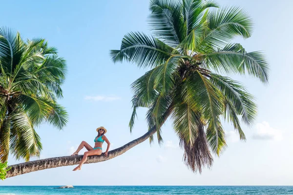 Ein Junges Mädchen Liegt Auf Einer Palme Strand Sommerferien — Stockfoto