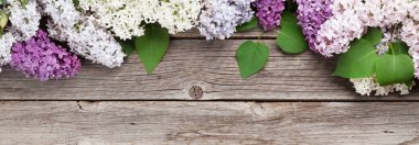 Ahşap arka planda renkli leylak çiçekleri. Üst görünüm düzlüğü