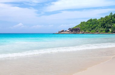 Palmiye ağaçları ve turkuaz deniz ile tropikal plaj