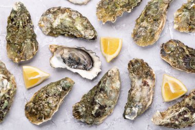 Limonlu taze istiridye. Düz yatıyordu