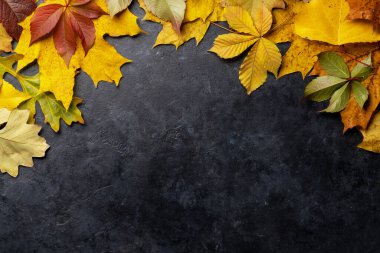 Karanlık taş masadaki renkli sonbahar yaprakları. Kopyalama alanı olan düz