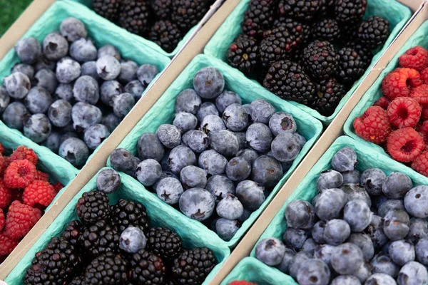 Various Berries Boxes Farmers Market Raspberry Blueberry — Stock Photo, Image