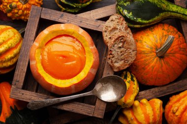 Balkabağı kremalı çorba ve çeşitli renkli kabaklar ve balkabakları. Sonbahar sebze hasadı. Üst görünüm düzlüğü