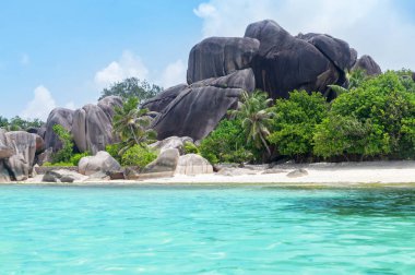 Tropical Seychelles beach with palm trees, stones and turquoise sea