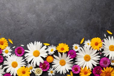 Taş zeminde papatya bahçesi çiçekleri. Üst görünüm düzlüğü kopyalama alanı ile yatıyordu