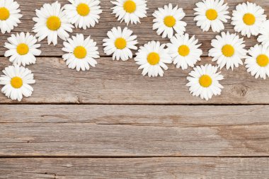 Ahşap arka planda papatya bahçesi çiçekleri. Üst görünüm düzlüğü kopyalama alanı ile yatıyordu