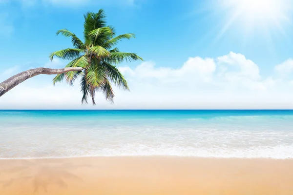 Sea Sand Beach Palm Tree Travel Vacation Seascape — Foto Stock