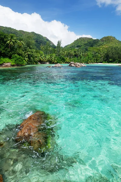 ヤシの木とターコイズブルーの海があるトロピカルビーチ — ストック写真