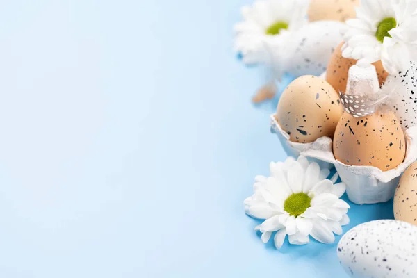 复活节彩蛋和蓝色背景的花朵 让您的问候充满了空间 — 图库照片